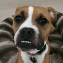 :rosie: