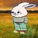 tokkichill