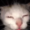 wuh