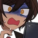 NaNiKoDe