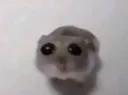 awe