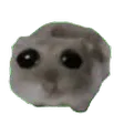sadHamster