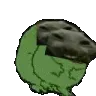 xddbackrub