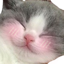 Panda_SimpHai Discord emoji