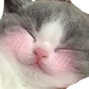 Panda_SimpHai Panda_SimpHai