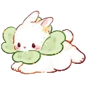 0f_bunny