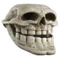 1r_skull_smile