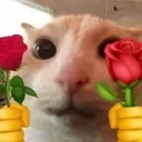 catflower