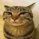 sirstarealots