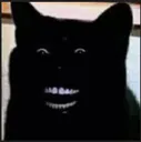 catscary