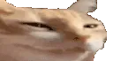NYEHEHEHE