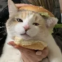 panko_burger