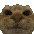 HmmHmmYesYesYesYes