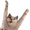 eeperYIPPEE