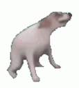 emoji_63