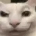 catsmirk