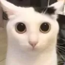 sniffles