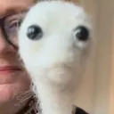qtip qtip