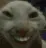 creepycat