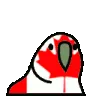 canadabirb