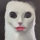 __