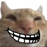 trollcat