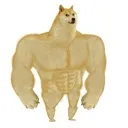 strongdog