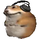 szczur