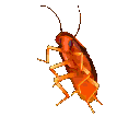 emoji_80