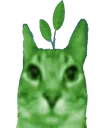 LeafyPlantmore LeafyPlantmore