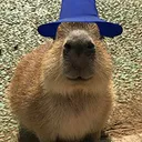 GortWiz GortWiz