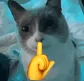 shhhhh