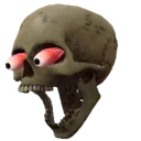 skull