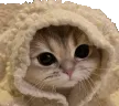 cozy