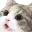 catwowww