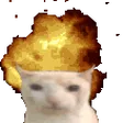 nbkguaFlame