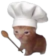 nbkguaChefcat