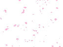 176cherryblossompetals