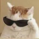 swag