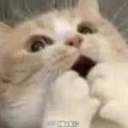 :MiMi: