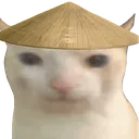 gatochino gatochino
