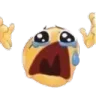 despairCRY