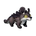 Muujin