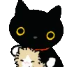 cat_hug cat_hug