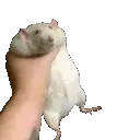 ratshaker_left