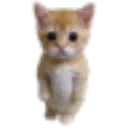 iminnocent