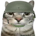 ArmyCat ArmyCat