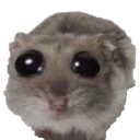 hamsterK Discord emoji
