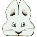 interestmaxxing
