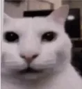que